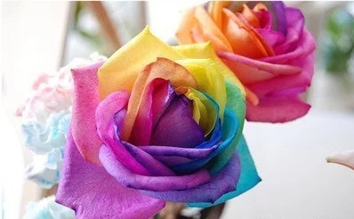 t01c08c0e8b9b19111a.webp_看圖王.jpg t01c08c0e8b9b19111a.webp_看圖王.jpg